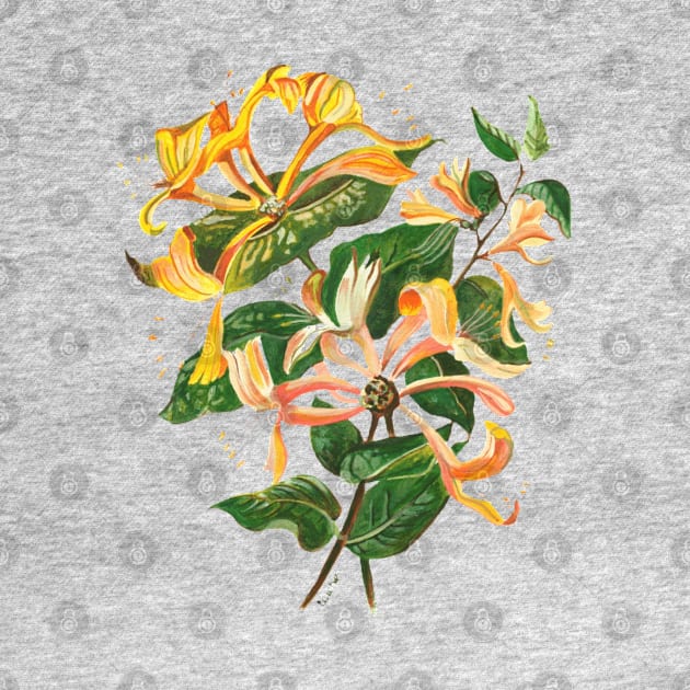 Honeysuckle Botanical Art Cut Out by taiche